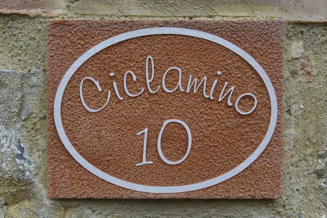 Agriturismo Le Gallozzole モンテリッジョーニ エクステリア 写真