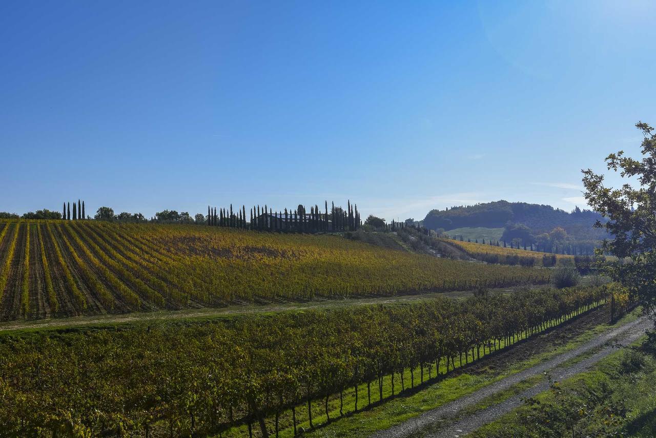 Agriturismo Le Gallozzole モンテリッジョーニ エクステリア 写真
